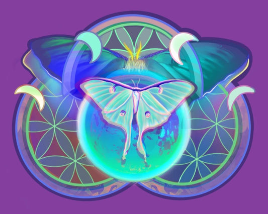 “Sacred Luna Moth” Prints
